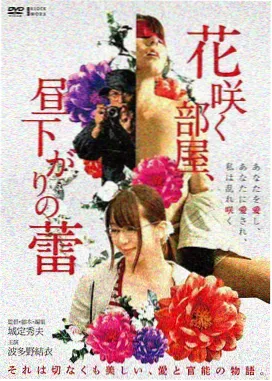 泰坦尼克号 4K 修复版条目封面